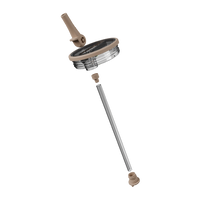 Autumn Oak