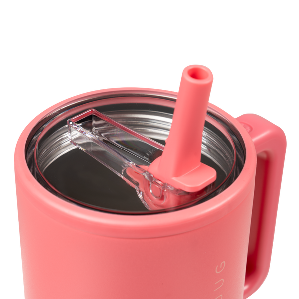 Salmon - Traveler (20oz) fw